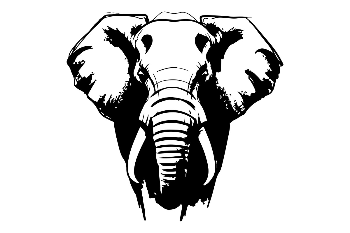 Elephant Vector Elements Bundle, an Animal Illustration by balal (Photo 18 of 18)