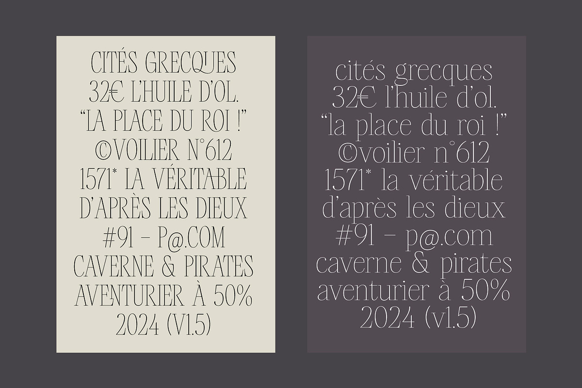 ANERIA — Editorial Serif, a Serif Font by Issam Type (Photo 6 of 14)