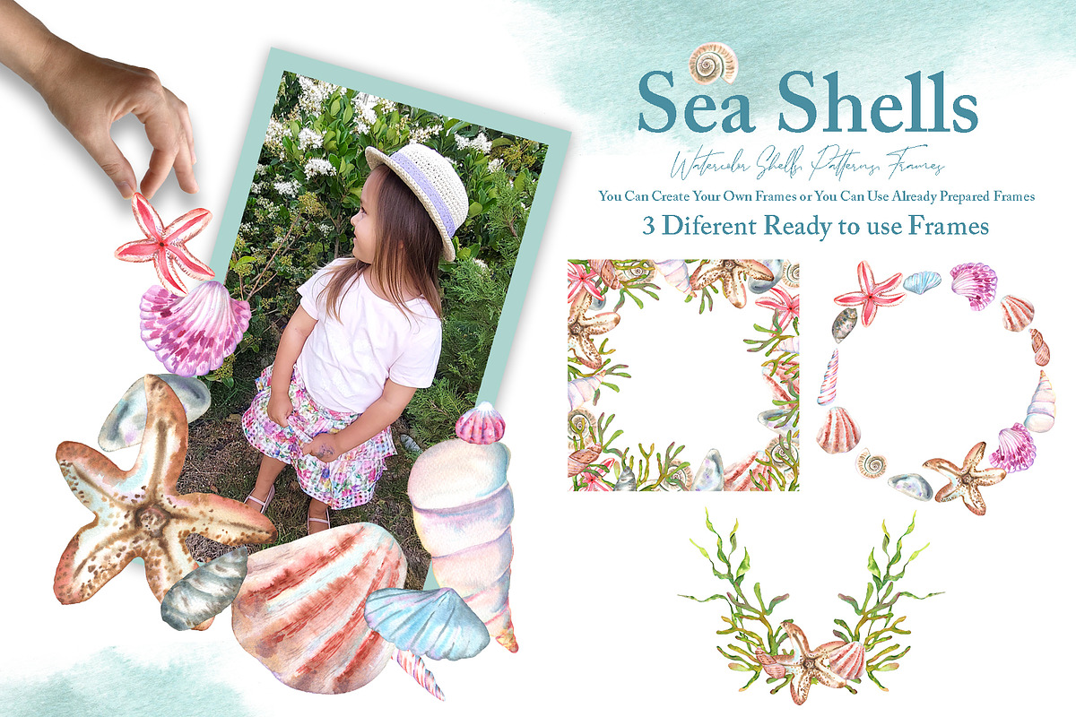 Watercolor Sea Shells Illustrations, a Work Illustration by TanataDesign (Photo 7 of 10)
