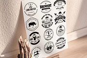 12 Retro Badges and Labels, a Branding & Logo Template by Arys Design (Thumbnail 2 of 7)