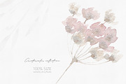 Watercolor Flower Pattern Collection, a Pattern Graphic by Alisa Fimen Design (Thumbnail 10 of 11)