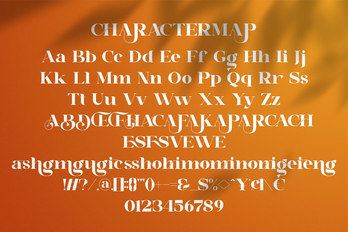 Chalsse || Modern Serif Font, a Serif Font by Ermedia Studio (Photo 10 of 10)