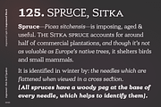 Argumend | A Humanistic Slab Serif, a Slab Serif Font by Ayca Atalay (Thumbnail 5 of 8)