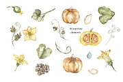 Watercolor Plant Life Cycle, an Education Illustration by MayaNavits (Thumbnail 12 of 17)