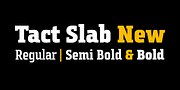 Tact Slab New, a Slab Serif Font by PESIC (Thumbnail 1 of 7)