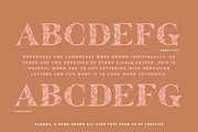 Blomma Hand-Drawn Display Font, a Serif Font by Up Up Creative (Thumbnail 10 of 12)