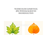Autumn Leaf Clipart Bundle, a Decorative Illustration by Pati Charm Studio (Thumbnail 5 of 8)