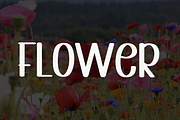 Beautiful Wildflower, a Sans Serif Font by InermediaSTUDIO (Thumbnail 8 of 8)