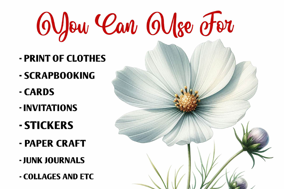 Wedding White Cosmos Flower Clipart, a Decorative Illustration by fashionaddict (Photo 7 of 7)