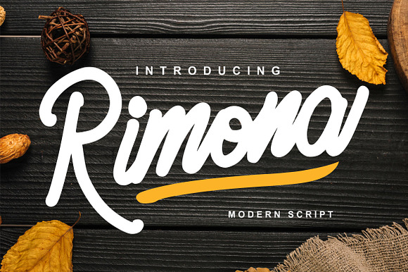 Rimona - Modern Script preview 7
