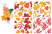 Autumn watercolor collection, an Illustration by ramika (Thumbnail 3 of 5)