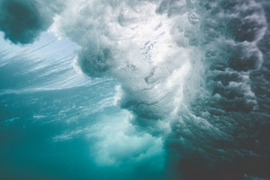 Underwater containing maui, hawaii, and aloha