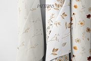 Warm AUTUMN - wildflower collection, a Seasonal Illustration by Youksy (Thumbnail 11 of 17)