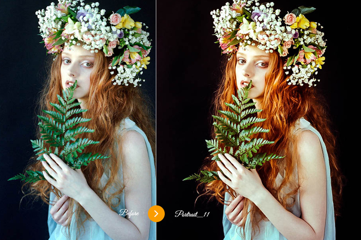 20 Professional Portrait Preset preview 2