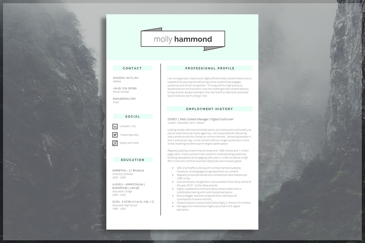 Word CV Template, a Resume Template by introDuice - CV / Resumes (Photo 1 of 6)
