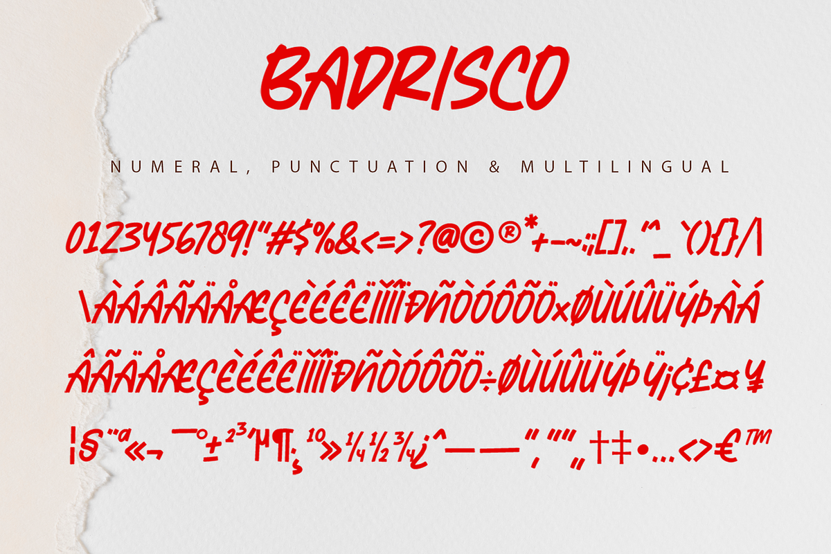 Badrisco - A Display Font, a Sans Serif Font by overlaytemplates (Photo 5 of 5)