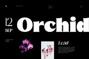 Migae | Display Font, a Serif Font by Jolicia Type (Thumbnail 6 of 10)