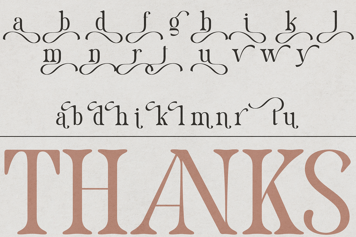 Pakoshe – Serif Font, a Serif Font by NDNL Studio (Photo 9 of 9)