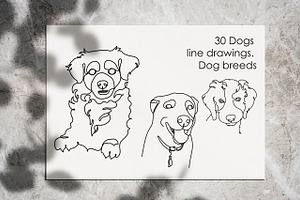 Dogs Line Drawings. Dog Breeds