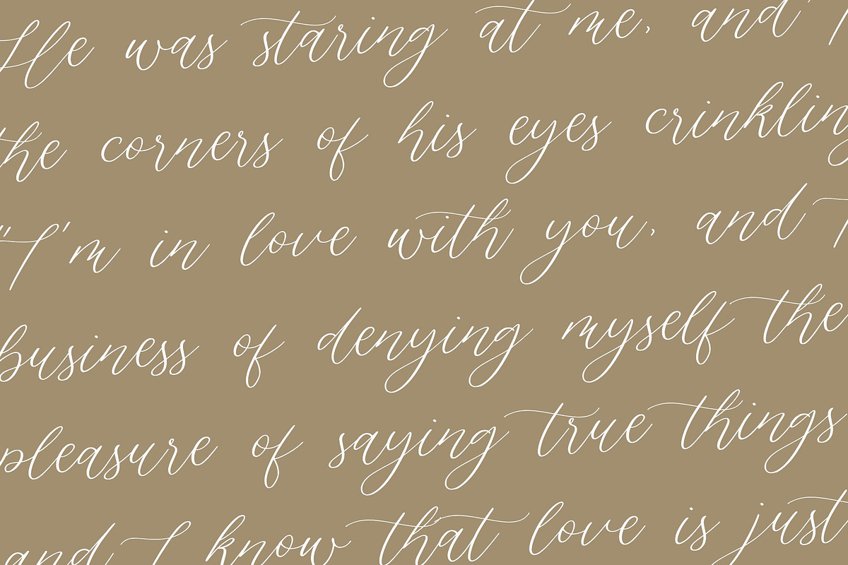 Silverweed - Calligraphy Script Font, a Script Font by Balpirick Studio (Photo 5 of 7)