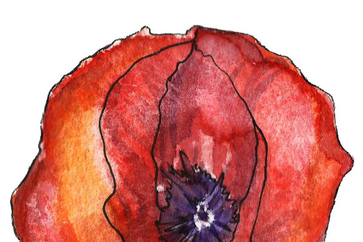 Bundle offer of watercolors, an Animal Illustration by Watercolor_Vector Graphic (Photo 24 of 27)