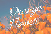 Rinasari - Handwritten Script Font, a Script Font by Morisco (Thumbnail 3 of 6)