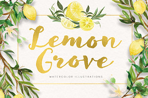 Lemon Grove Watercolor Illustrations