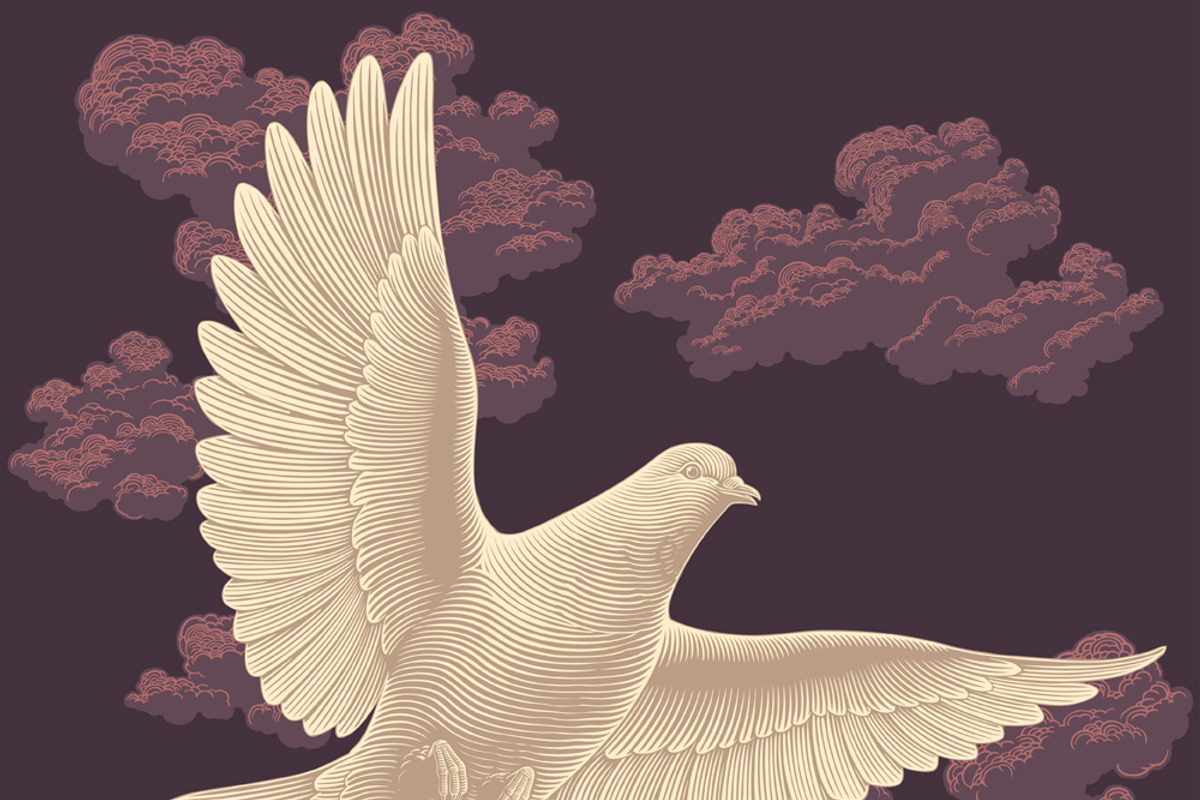Design set Pigeons.Vector engraving, an Animal Illustration by Vector Engraving (Photo 2 of 4)