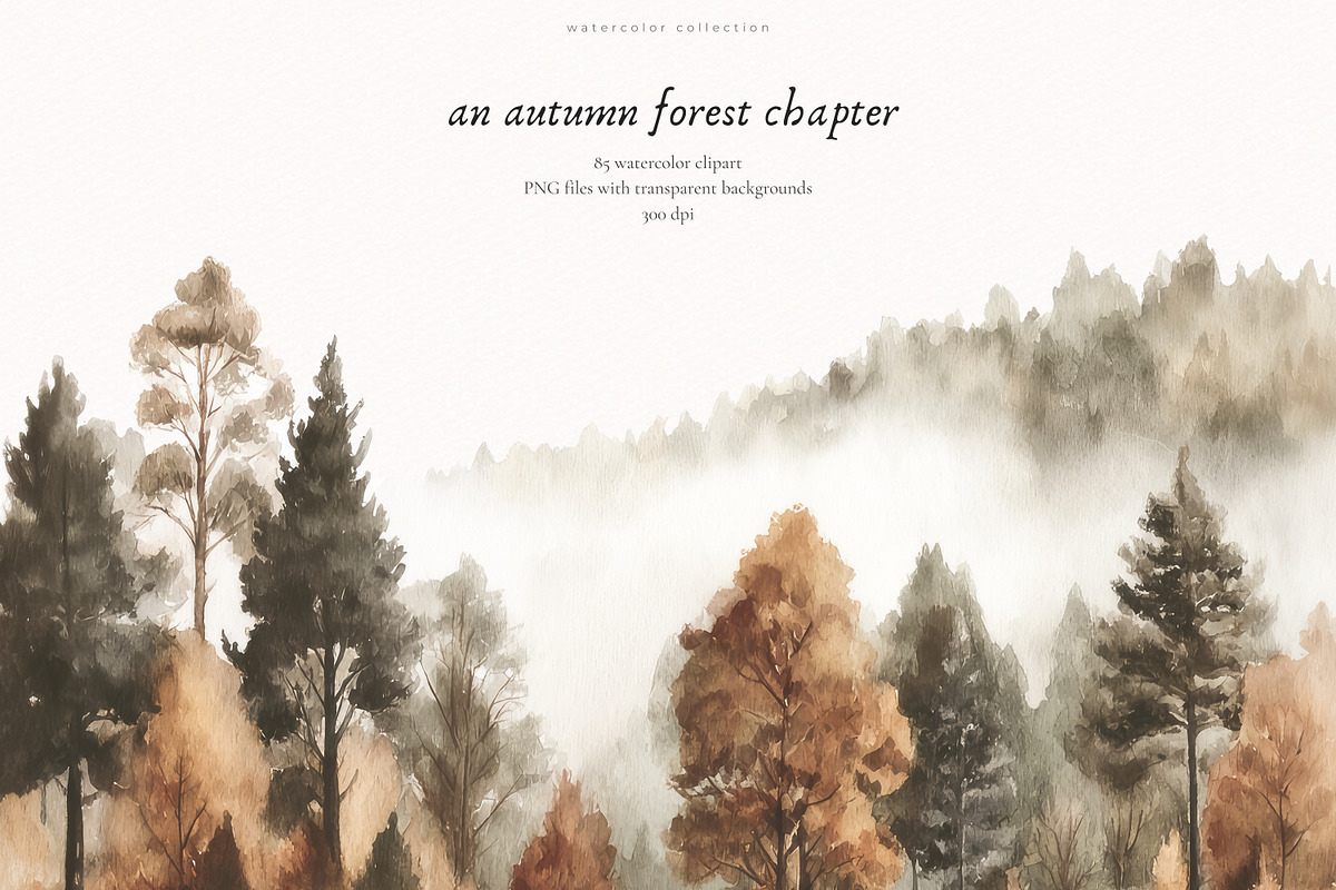 An Autumn Forest Chapter Collection, an Animal Illustration by PeDe Designs (Photo 24 of 29)