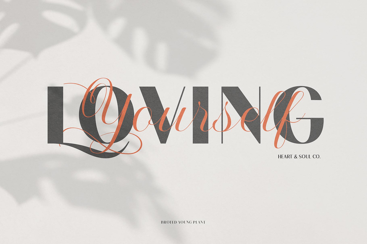 Broted Young Plant Font Duo, a Sans Serif Font by alit design (Photo 10 of 20)