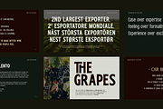 TRT Bird of Feather – Elegant Serif, a Font by truetype (Thumbnail 11 of 15)