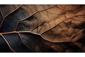 intricate dark natural texture ai, a Background Photo by pikepicture