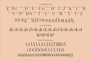 Alchadera A Modern Serif Font, a Serif Font by Storytype Studio (Thumbnail 14 of 15)