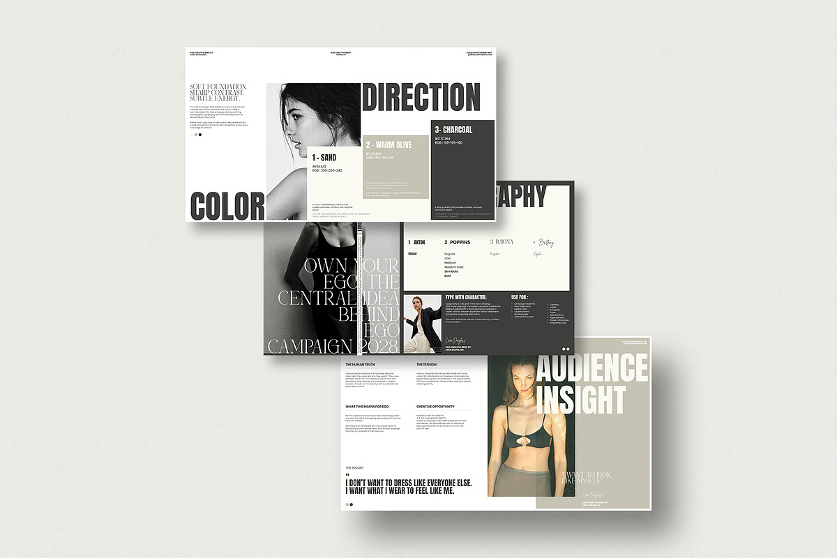 EGO Creative Brief Campaign | CANVA, a Presentation Template by evgenystudio (Photo 7 of 11)