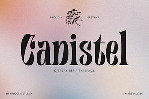 Canistel - Display Serif Font, a Serif Font by Unicode Studio