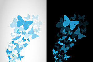 Vector Image Of An Butterflies.