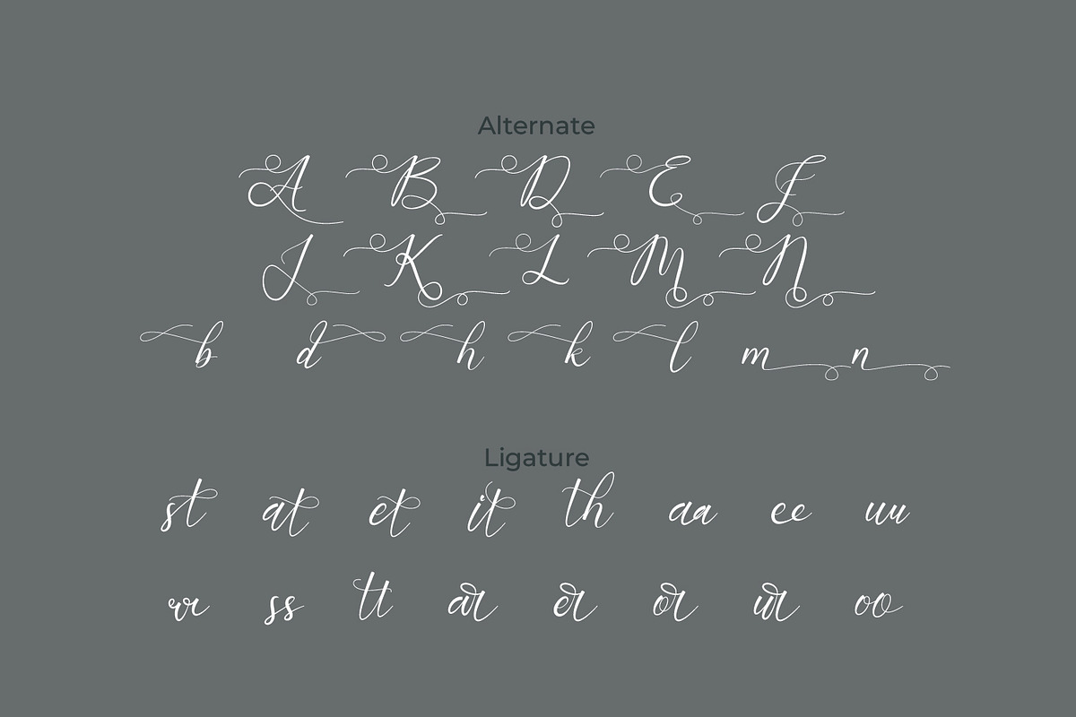 Barestan - Modern Signature Script, a Script Font by Rishsketch (Photo 11 of 13)