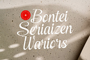 Cerria Refresh Elegant Script Font, a Script Font by timelesstype.co (Thumbnail 13 of 20)