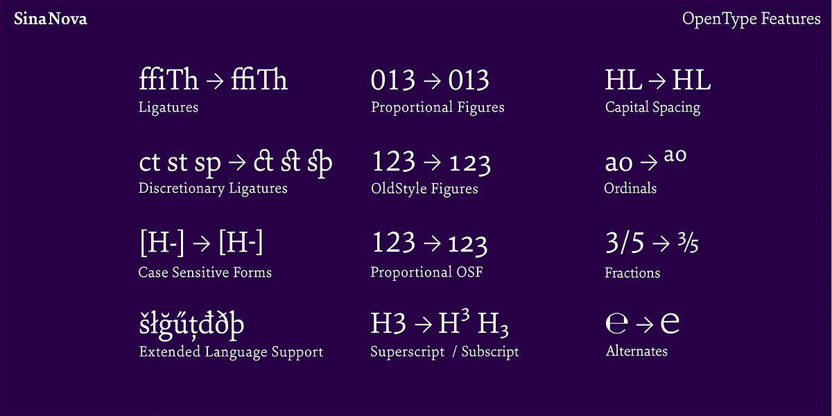 Sina Nova, a Serif Font by Hoftype (Photo 15 of 15)