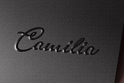 Logotype Mockup, a Merchandise Mockup by ZippyPixels (Thumbnail 1 of 4)