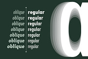 Fellbaum Grotesk Full, a Sans Serif Font by Vintage Type Company (Thumbnail 2 of 16)