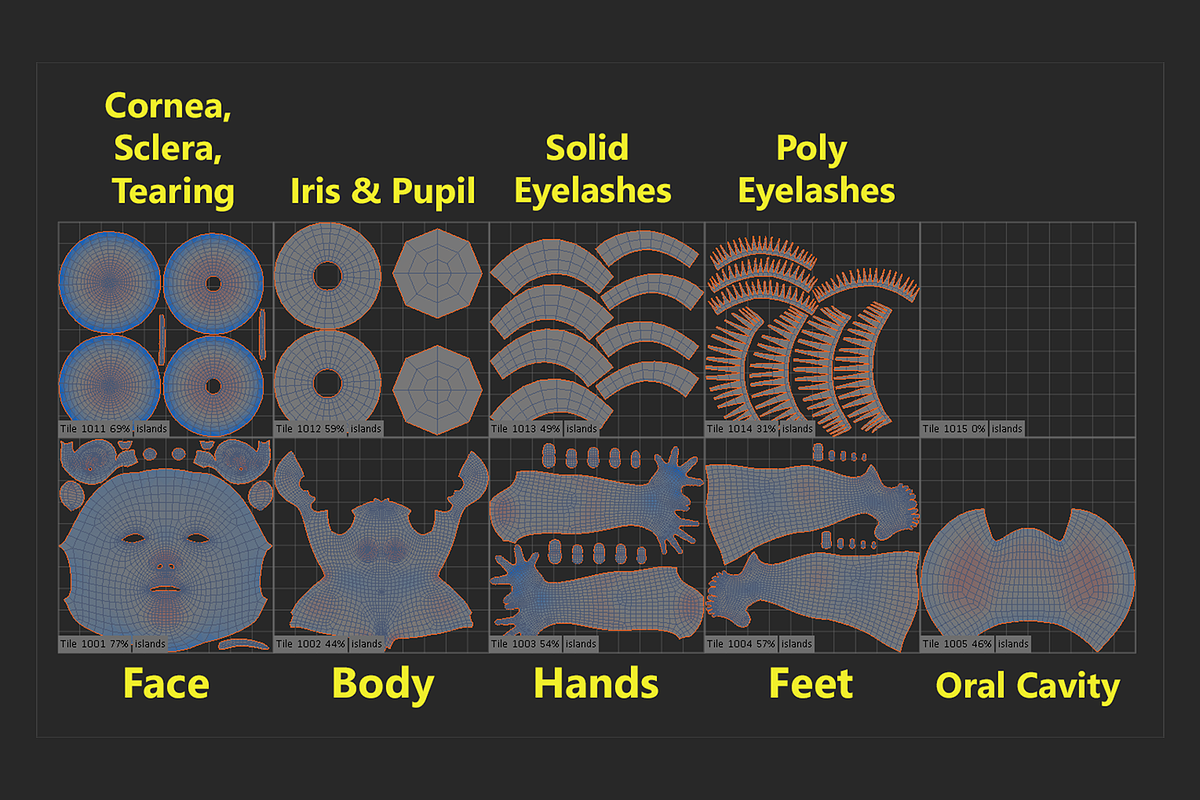 Stylized Female 01 A-Pose Base Mesh, a Characters & Person 3D Model by VK Studio (Photo 27 of 27)