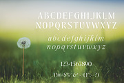 Yandrix | Serif Regular & Italic, a Serif Font by Artdez (Thumbnail 2 of 5)