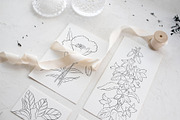 Flowers Line Arts Clipart, an Illustration by natalisart (Thumbnail 2 of 11)