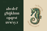 QUENTO | Modern Serif Display Font, a Serif Font by Glyph44 (Thumbnail 3 of 16)