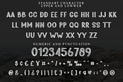 Black Note, a Script Font by FreshTypeINK (Thumbnail 8 of 8)