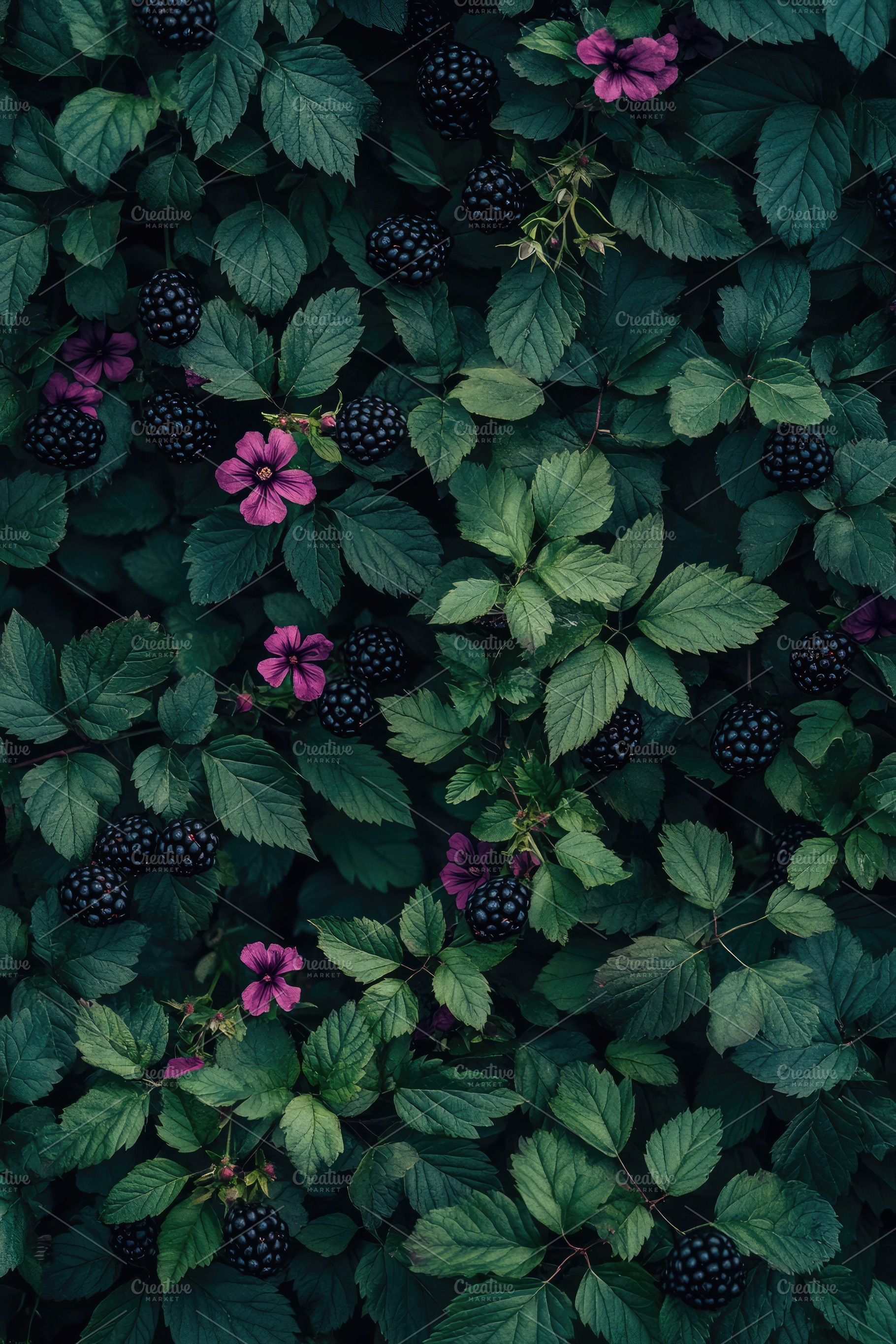 Pattern of Blackberries and Flower, a Nature Photo by Virgo Studio