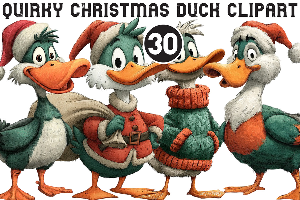 Quirky Christmas Duck Clipart PNG, an Illustration by Black Bird Studio (Photo 1 of 6)