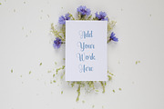 Mock up - card design - announcement, a Background Photo by Susa's pics (Thumbnail 1 of 2)