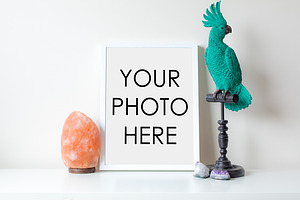 White Frame With Parrot & Salt Lamp